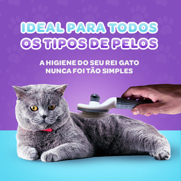 Escova Mágica© Autolimpante Para Gatos - REI GATO #2/1