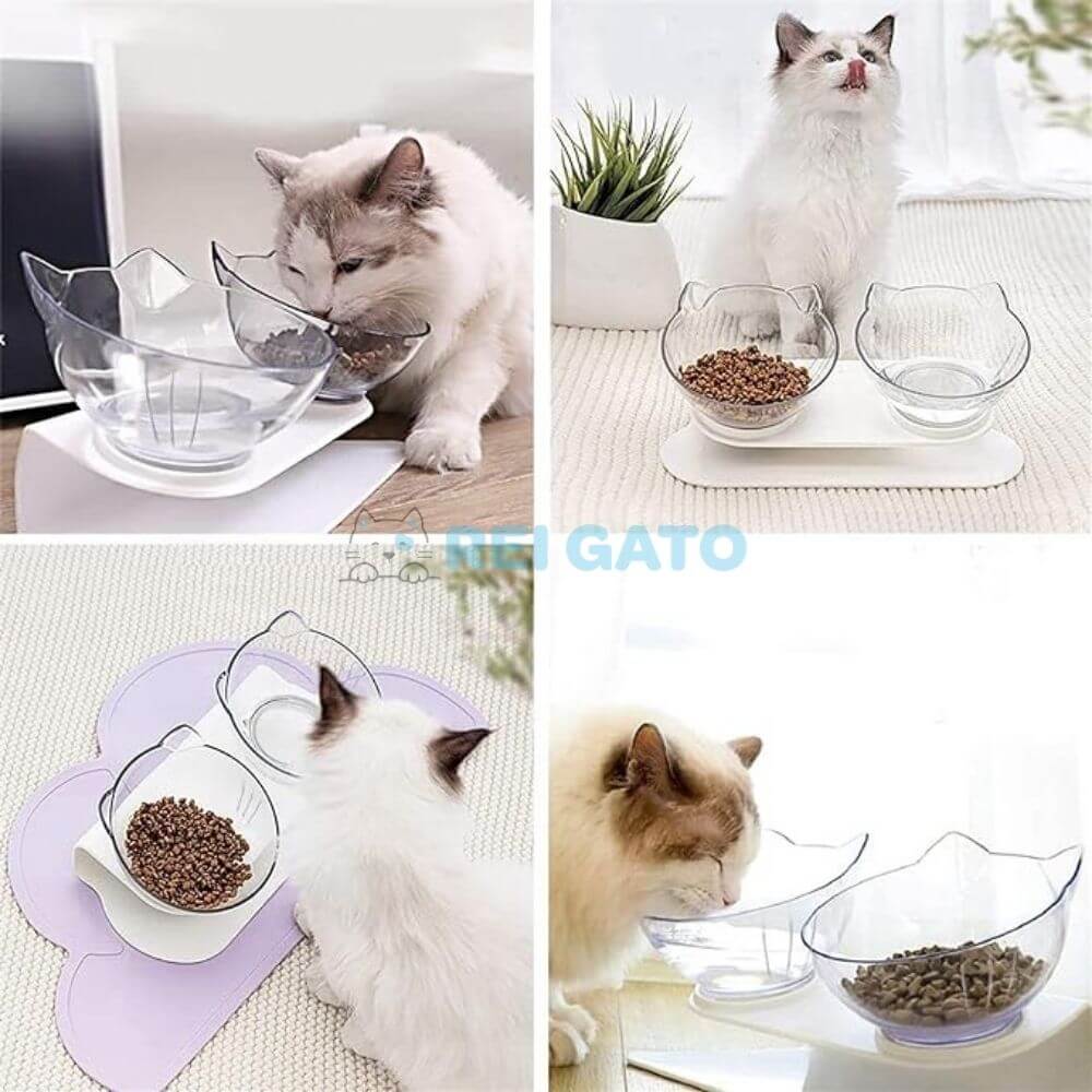 Comedouro Duplo Ergonômico Para Gatos - REI GATO©️ + Brinde Exclusivo