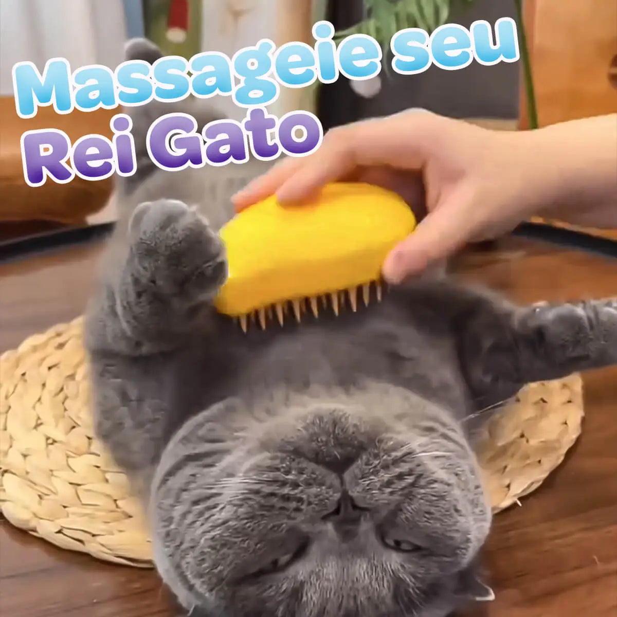 Escova Spa® de Gato 3 em 1 para Banho