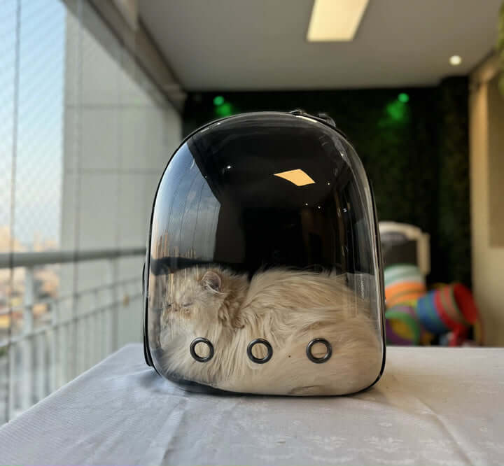 Mochila de Transporte Para Gatos Ventilada - REI GATO©️ + Brinde Exclusivo