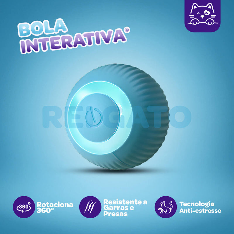 Bola Interativa - REI GATO©️  + Brinde Exclusivo