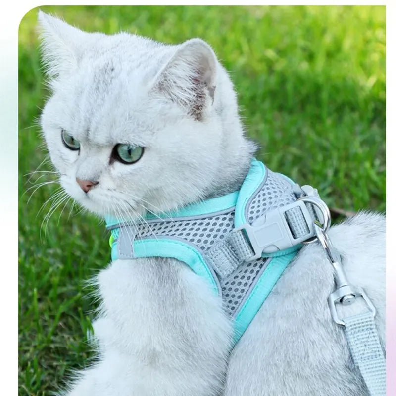 Peitoral Refletivo e Guia Para Gatos à Prova de Fuga