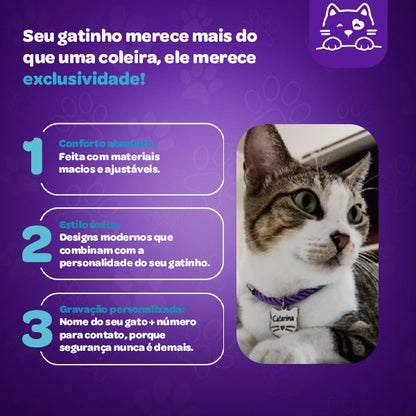 Coleira Personalizada + Plaquinha de identificação - Edição Limitada - Rei Gato©